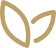 精細管理 質(zhì)量穩(wěn)定